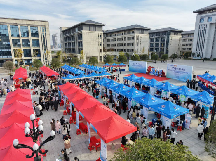 1764031904729043366.png image.png